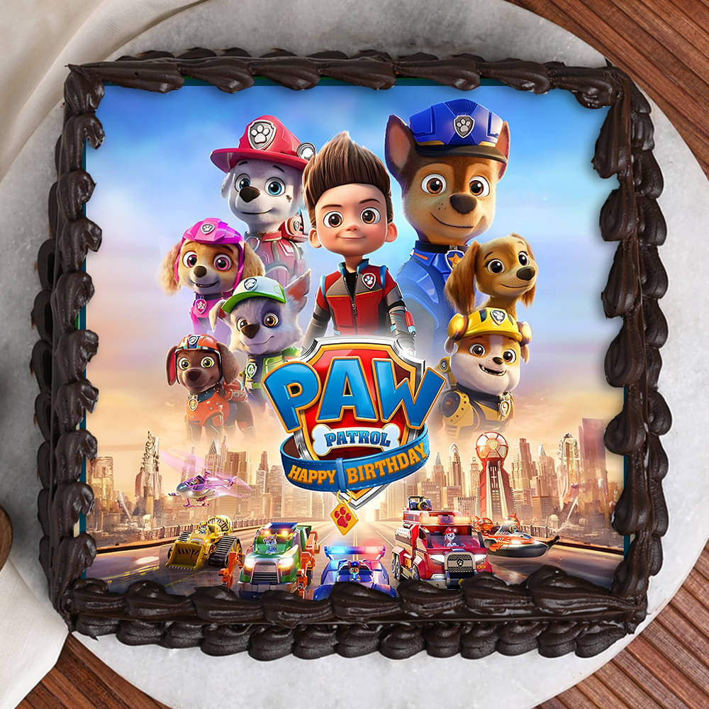 Top View of Paw Patrol Adventure Birthday Cake