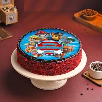 Paw Patrol Pups Birthday  Cake