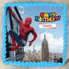 Spiderman Birthday Poster Cake Square Shape