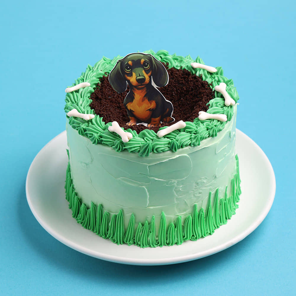 Puppy In The Park Cake