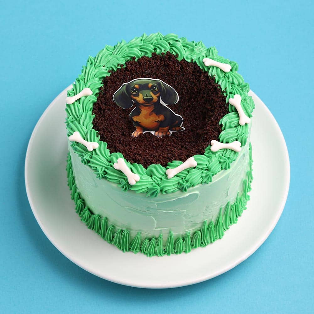 Puppy In The Park Cake
