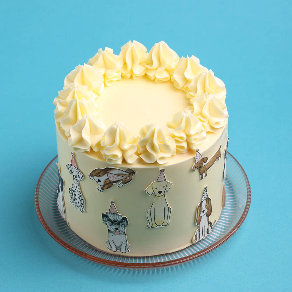 Pawsome Celebration Cake