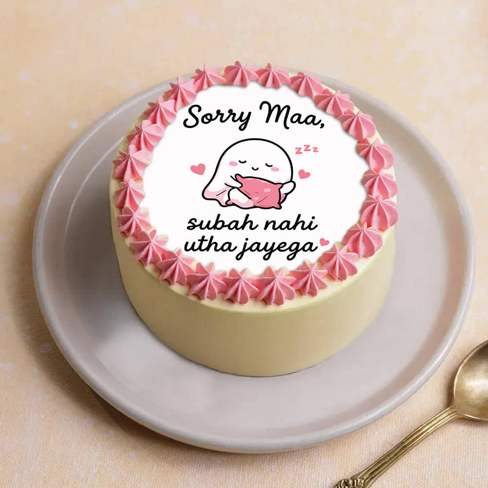 Quirky Apology Bento Cake For Mom