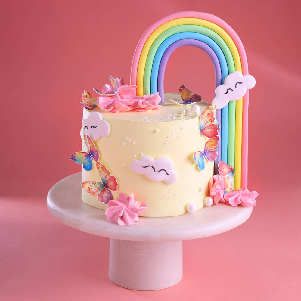 Rainbow Delight Butterfly Cake