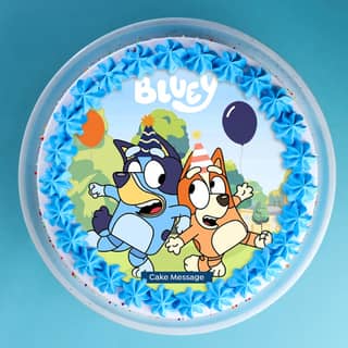 Top View of Rainbow Sprinkled Bluey Cake