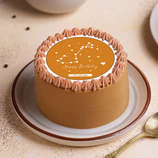 Scorpio Sign Birthday Bento Cake