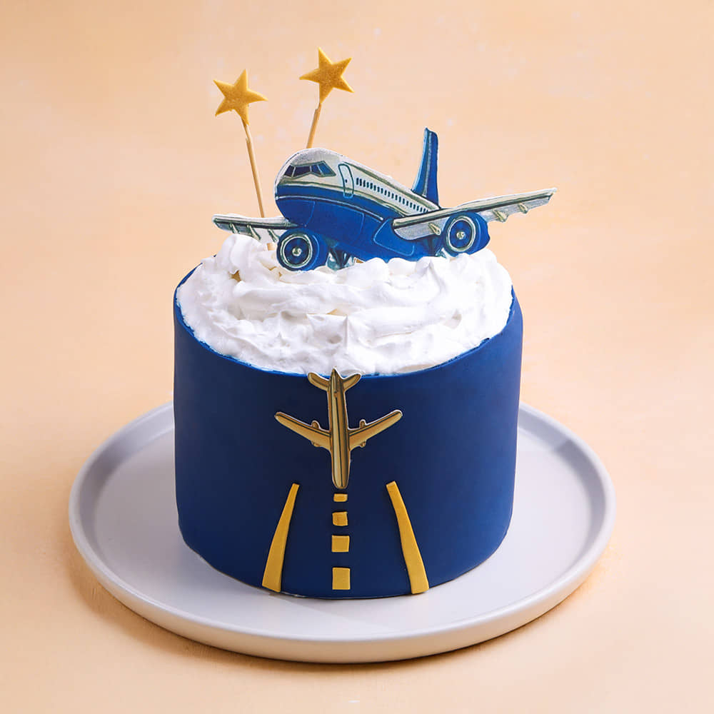 Sky Adventure Pilot Cake