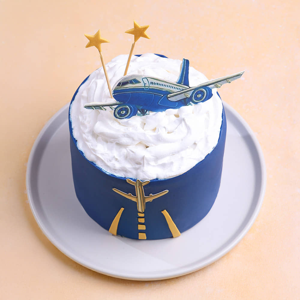 Sky Adventure Pilot Cake