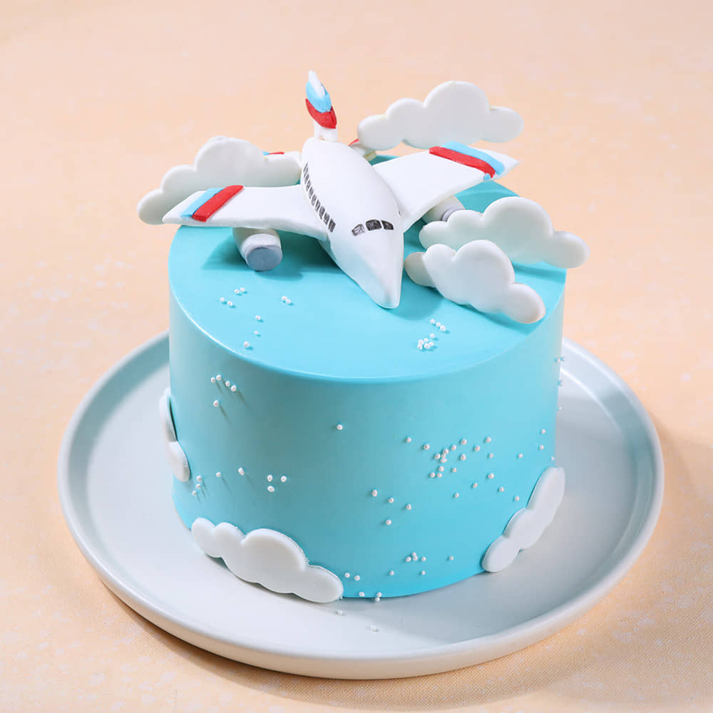 Sky High Airplane Adventure Cake