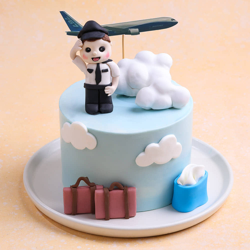 Sky High Pilot Theme Cake