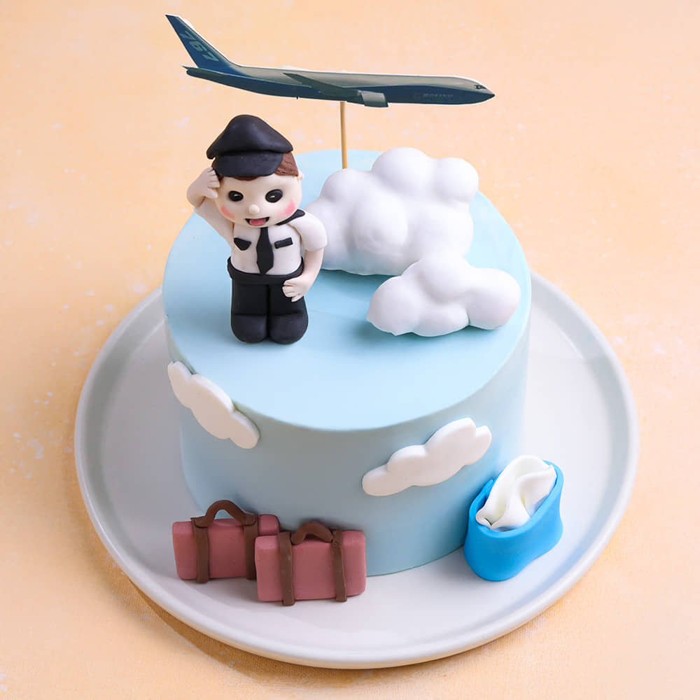 Sky High Pilot Theme Cake
