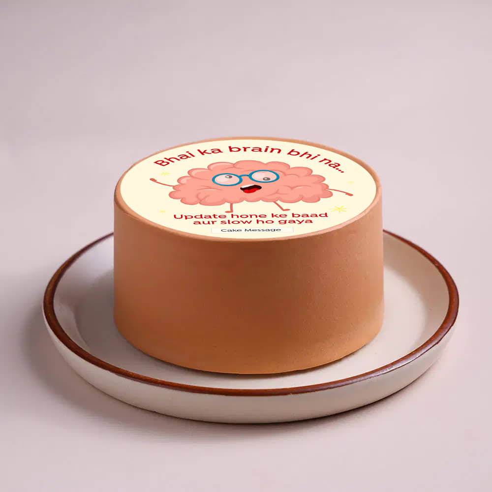 Slow Brain Quirky Bento Cake For Bro