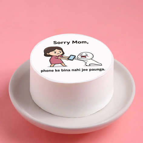 Sorry Mom Phone is Life Bento Cake