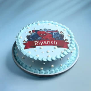 Spider Adventure Cake