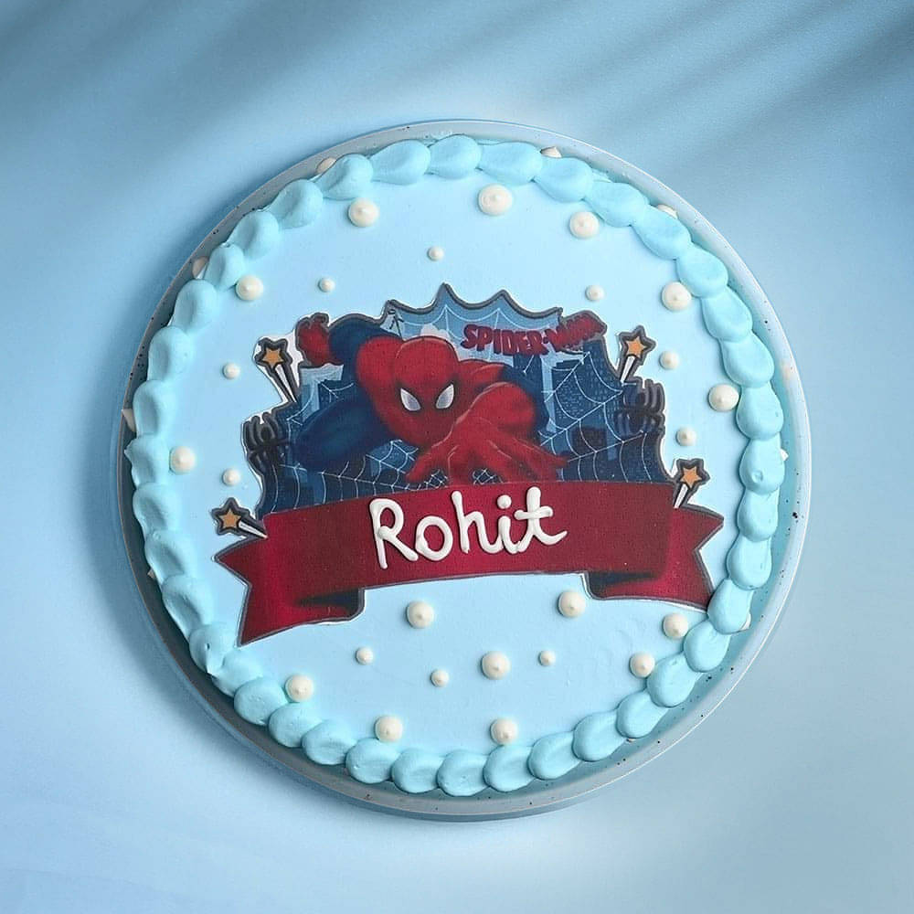 Spider Adventure Cake