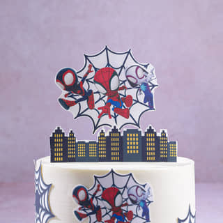 Zoomed View of Spiderman N Friends Cake Zoomed View of Spiderman N Friends Cake