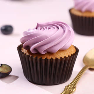 Front View of Blueberry Cupcake