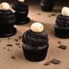 Choco Decadence Cupcakes