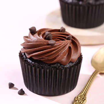 Choco Chip Cupcake Choco Chip Cupcake