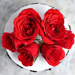 Front View Rose Choco Vanilla Delight Cake