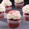 Passionate Red Velvet Cupcake