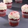 Passionate Red Velvet Cupcake