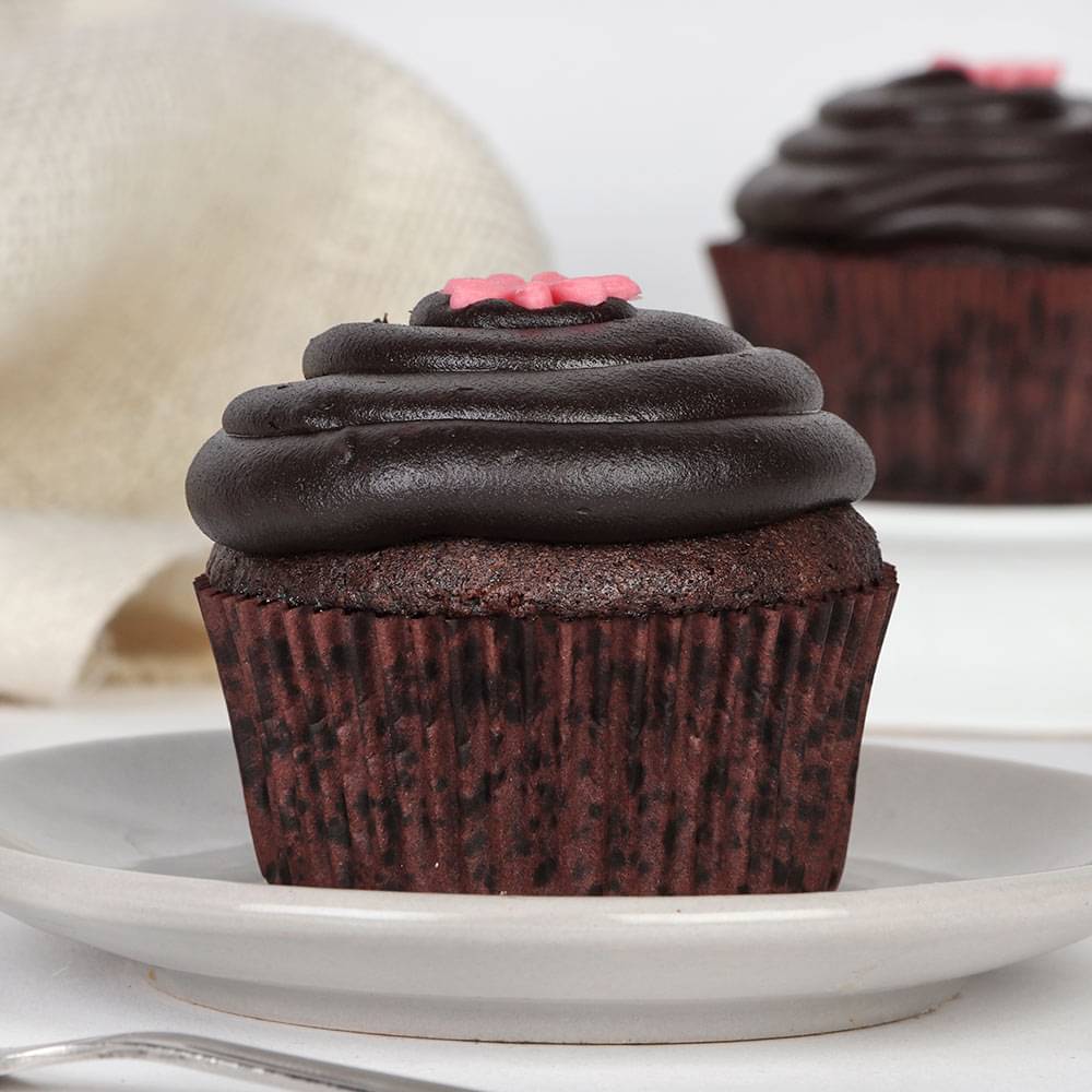 Side View of Chocolate Glaze Cupcake