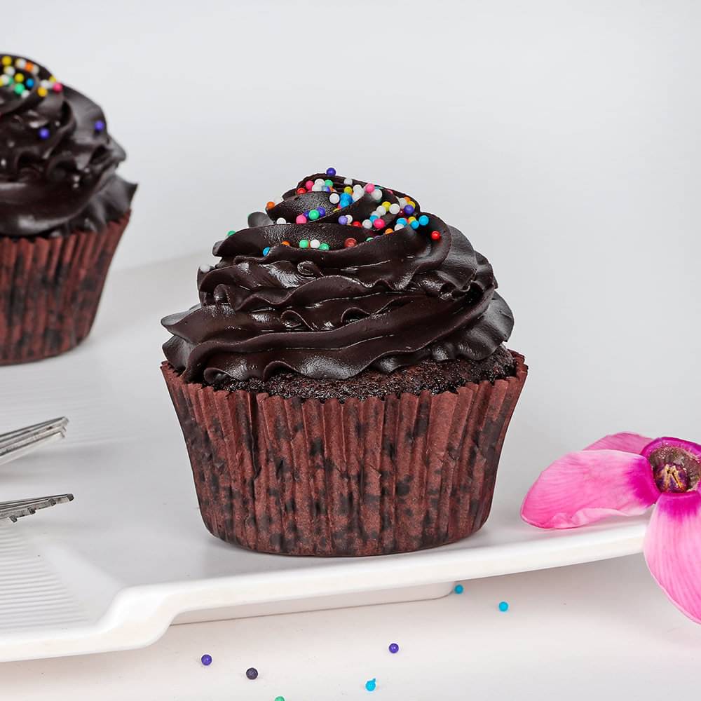 Side View of Double Chocolate Cupcake