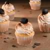 Classic Coffee Cupcakes