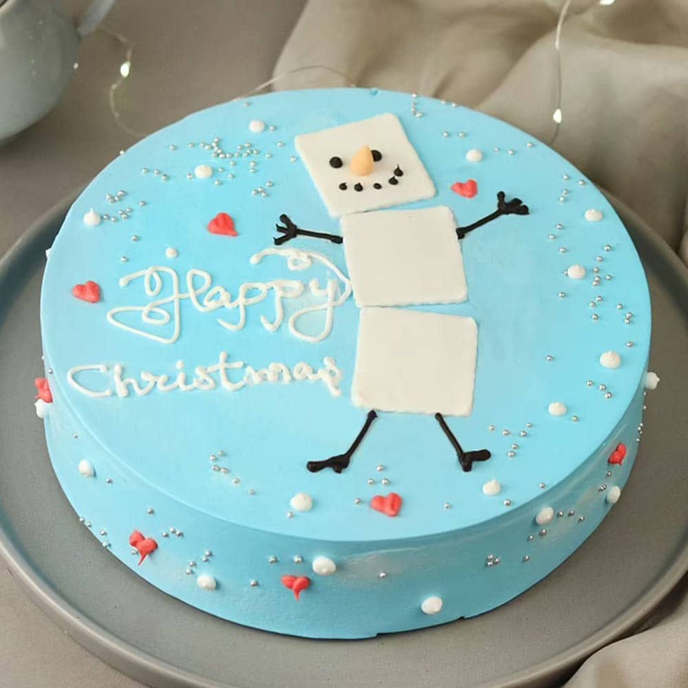 Side View of Vanilla Cake For Christmas