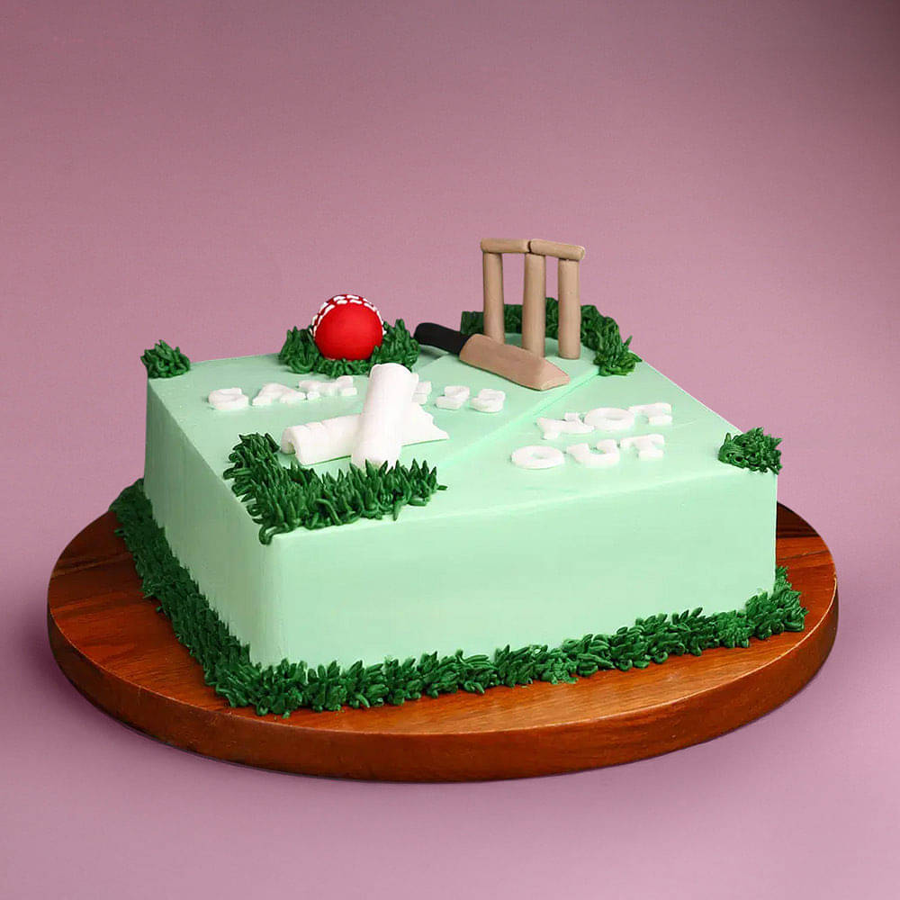 Side View of Innings Cricket Cake