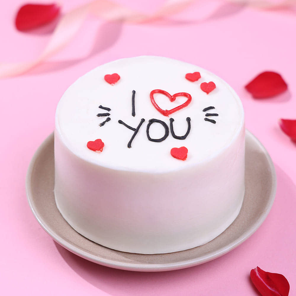 Front View of Sweet Love You Bento Cake