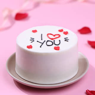 Front View of Sweet Love You Bento Cake