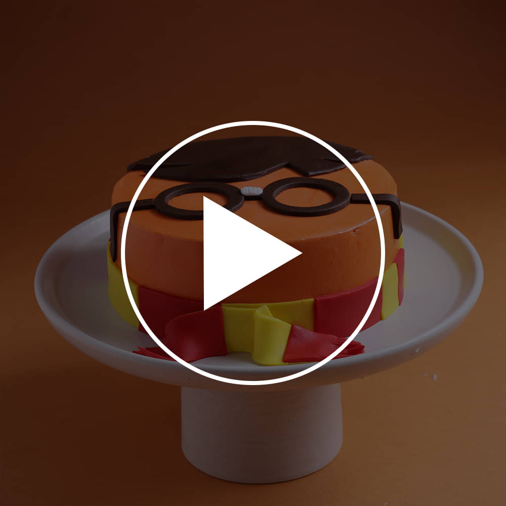 Harry Potter Fantasy Cake