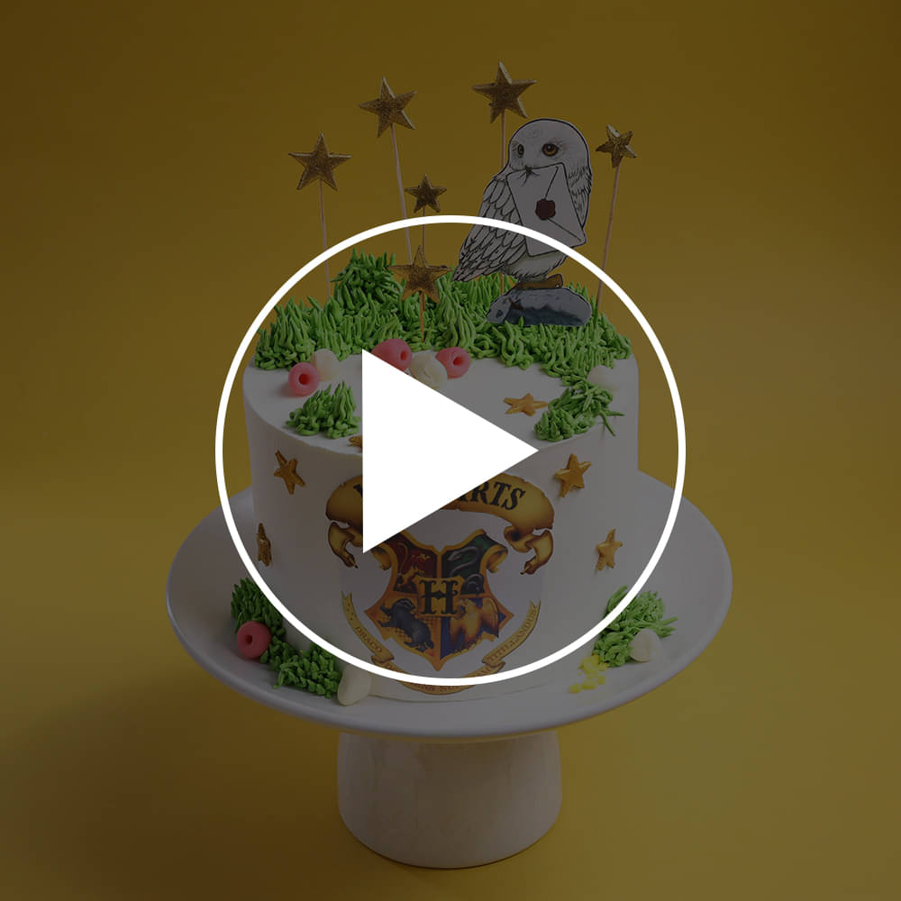 Wizards of Hogwarts Fantasy Cake