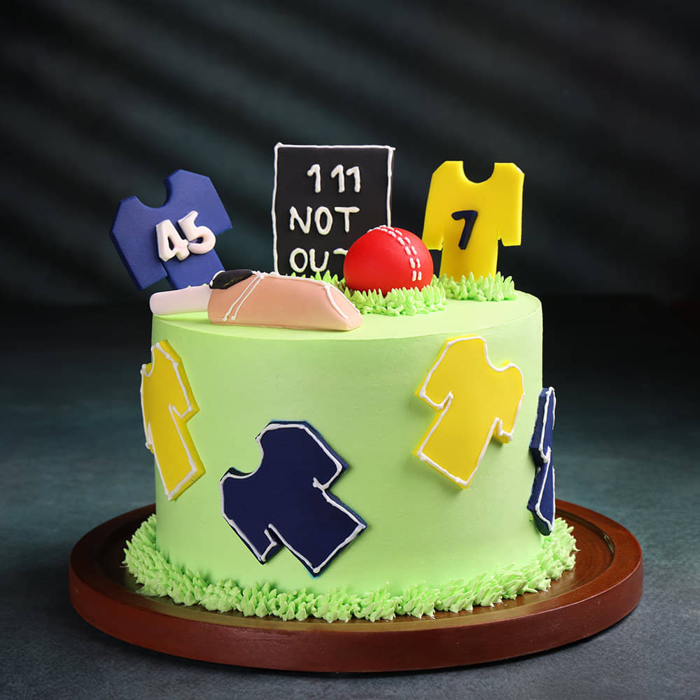 Side View of Cricket Not Out Theme Cake