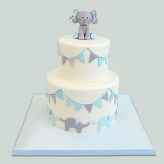 Two Tier Pastel Elephant Fondant Cake