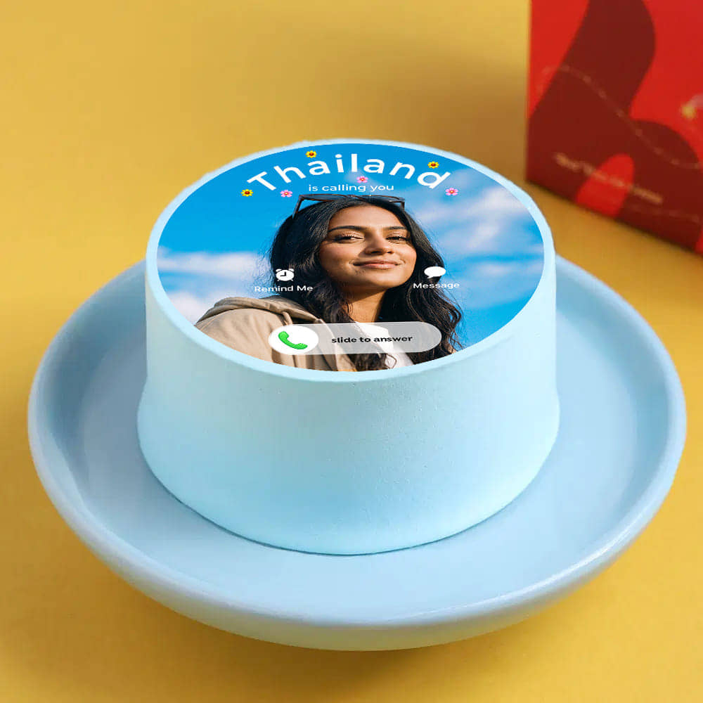 Vacation Calling Bento Cake