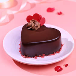 Front View of Chocolate Berry Bento Cake
