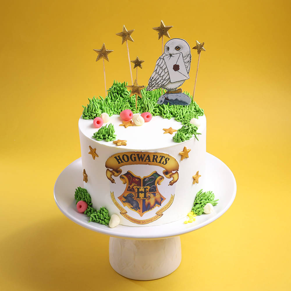 Wizards of Hogwarts Fantasy Cake