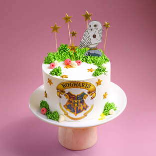 Wizards of Hogwarts Fantasy Cake