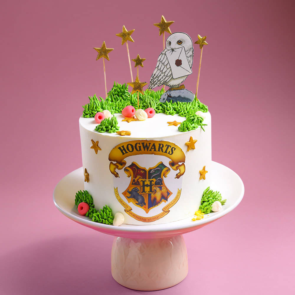 Side View of Hogwarts cake with Hedwig