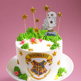 Harry Potter Cake with Hogwarts Emblem and Owl Topper