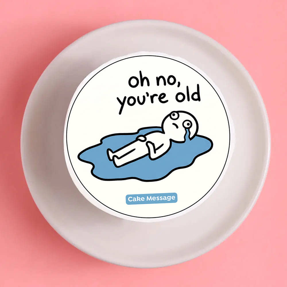 You Are Old Quirky Bento Cake